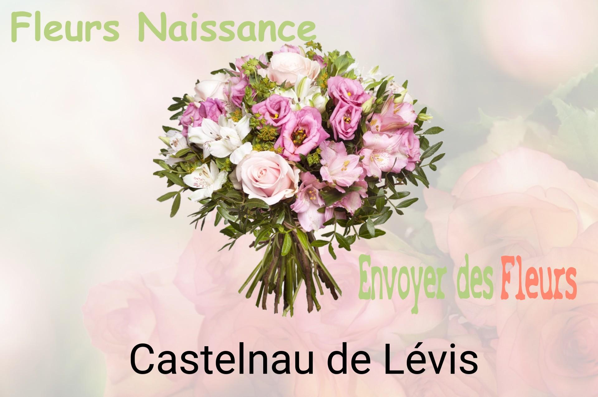 Bouquet de fleurs de naissance livré à Castelnau-de-Lévis